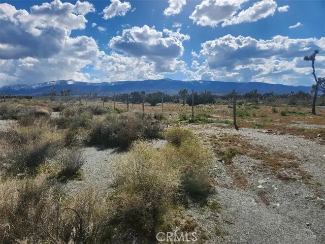 2647 Minero Road, Pinon Hills, CA 92372 - #1