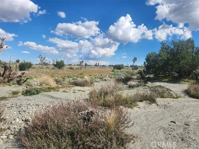 2647 Minero Road, Pinon Hills, CA 92372 - #3