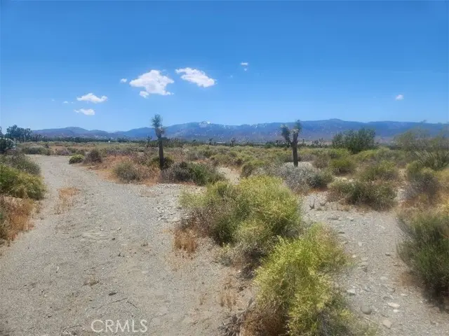 0 Minero Road, Pinon Hills, CA 92372 - #1