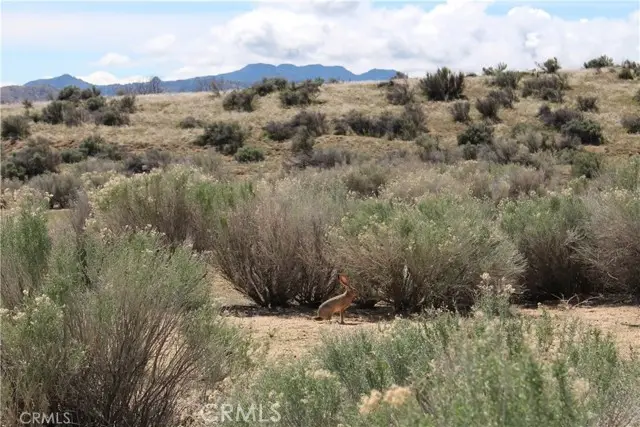 1790 S Kelso Road, Weldon, CA 93283 - #2