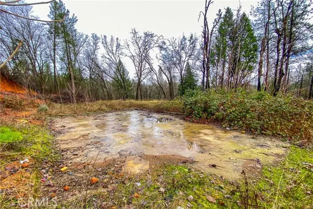 21138 Big Oak Lane, Lakehead, CA 96051 - Image #2