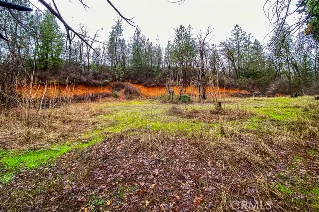 21138 Big Oak Lane, Lakehead, CA 96051 - Image #3