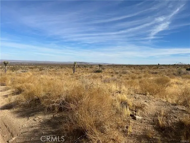 8 Fort Tejon Road, Llano, CA 93544 - #1