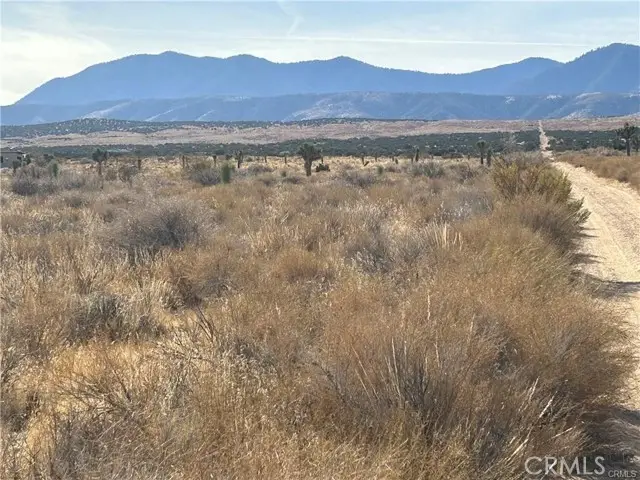 8 Fort Tejon Road, Llano, CA 93544 - #2