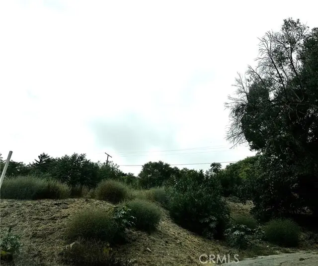 0 Lincoln Park Avenue, Los Angeles, CA 90031 - Image #2