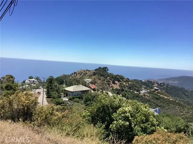 24725 Saddle Peak Road, Malibu, CA 90265 - #1