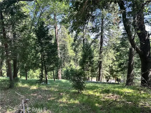 0 Bone Drive, Cedarpines Park, CA 92322