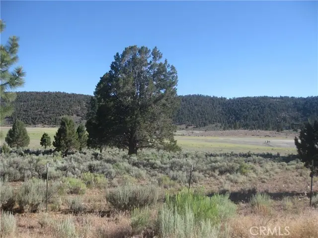 2809 Cedar Lane, Big Bear City, CA 92314 - #2
