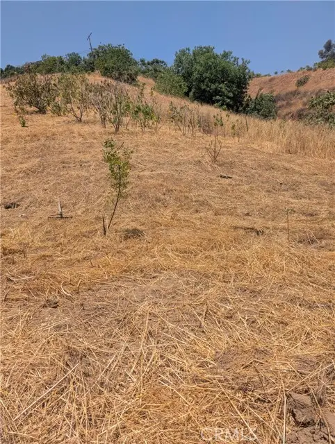 3104 Lincoln Park Avenue, Los Angeles, CA 90031 - #1