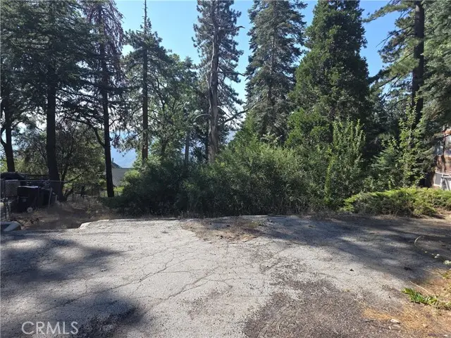 30778 Live Oak Drive, Running Springs, CA 92382 - #2