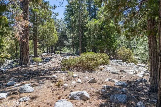 0 Quercus Drive, Forest Falls, CA 92339 - #1