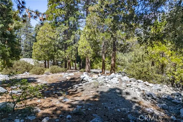 0 Quercus Drive, Forest Falls, CA 92339 - #2