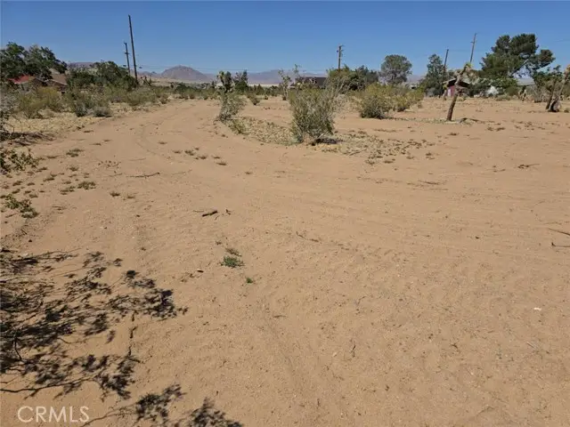 31357 Pawnee Street, Lucerne Valley, CA 92356 - #3