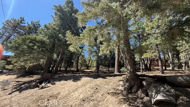 33112 Juniper Lane, Green Valley Lake, CA 92341 - #2