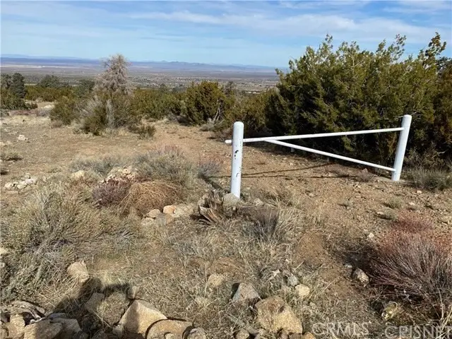 0 Vac Vic Pines 260 Ste 49, Llano, CA 93544 - #3