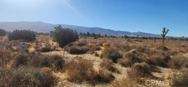 0 Silver Rock Road, Pinon Hills, CA 92372 - #1