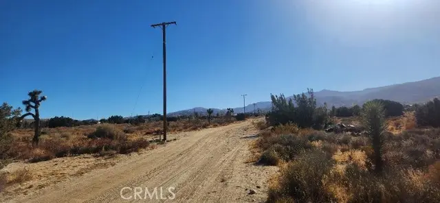0 Silver Rock Road, Pinon Hills, CA 92372 - #2