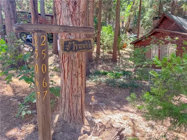 65807 Boa Drive, Crestline, CA 92325 - #1