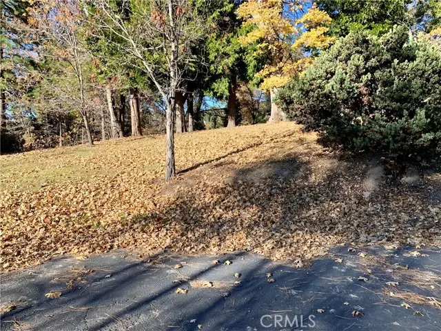 40 Park, Running Springs, CA 92382 - Image #2