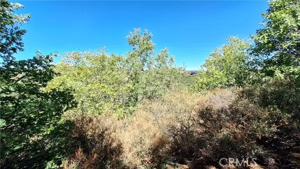 0 Coulter, Cedar Glen, CA 92321