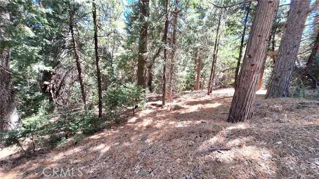 0 Cedar Pines, Cedarpines Park, CA 92322 - #1