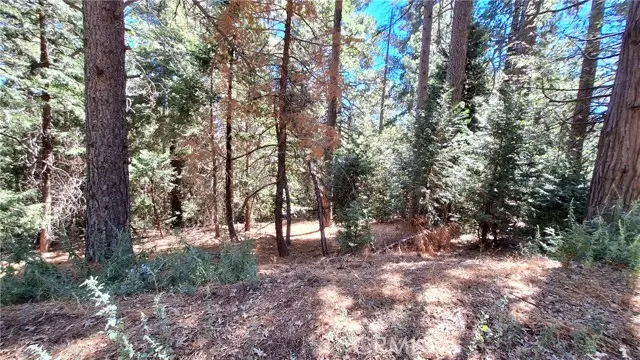 0 Cedar Pines, Cedarpines Park, CA 92322 - #2
