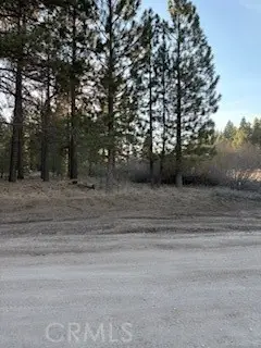 34557 Polique Canyon, Fawnskin, CA 92333 - #2