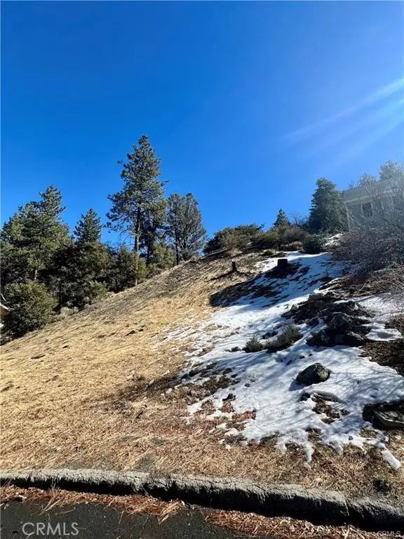 5411 Shirley J, Wrightwood, CA 92397 - #2