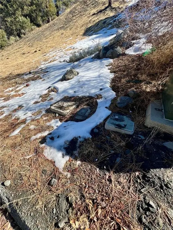 5411 Shirley J, Wrightwood, CA 92397 - #3