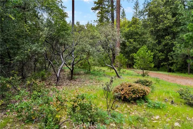 21324 Aqueduct Circle, Pine Grove, CA 95665 - #3