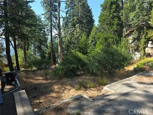 30778 Live Oak, Running Springs, CA 92382 - #2