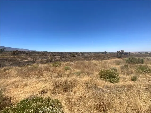 0 Joshua Tree, Landers, CA 92285 - #1