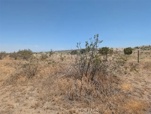 123 Dos Palmas, Pinon Hills, CA 92372 - #2