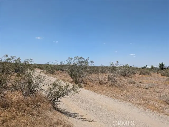123 Dos Palmas, Pinon Hills, CA 92372 - #3