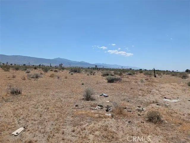 7 Dos Palmas, Pinon Hills, CA 92372 - #1