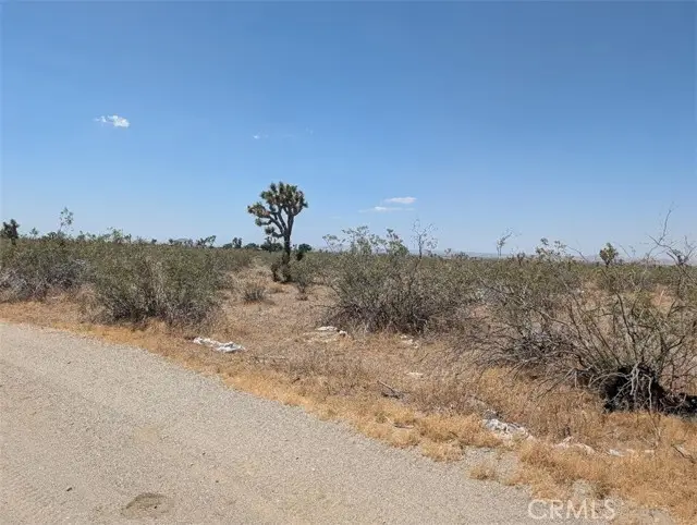 3 Dos Palmas, Pinon Hills, CA 92372 - #2