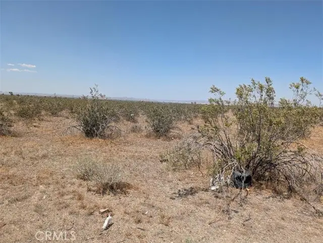 5 Dos Palmas, Pinon Hills, CA 92372 - #3
