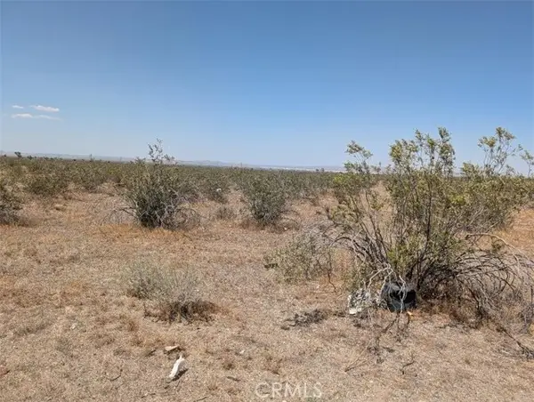 6 Dos Palmas, Pinon Hills, CA 92372