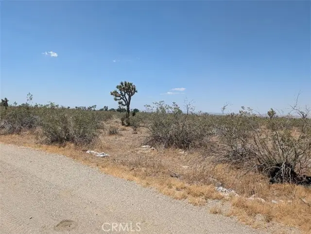 6 Dos Palmas, Pinon Hills, CA 92372 - #3