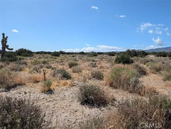 33 Antelope, Llano, CA 93544