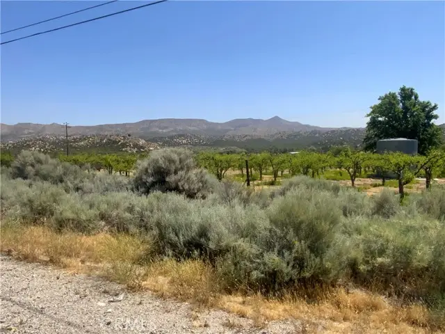 4747 US Highway 138, Phelan, CA 92371 - #3