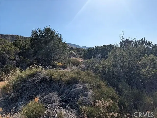8 Mountain Road, Pinon Hills, CA 92372 - #1