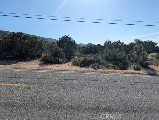 8 Mountain Road, Pinon Hills, CA 92372 - #3