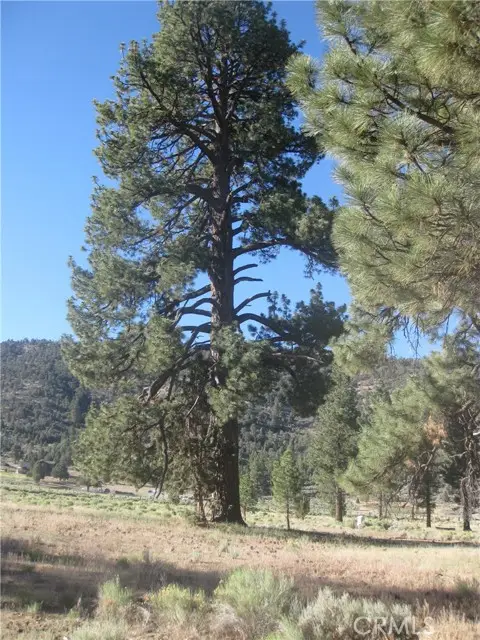 2824 Erwin Ranch Road, Big Bear City, CA 92314 - #1