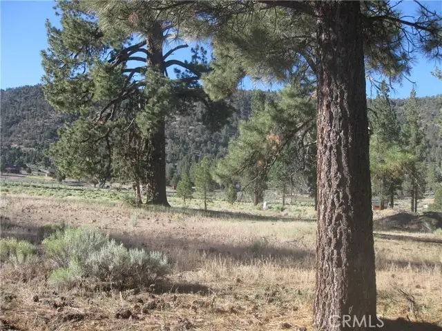 2824 Erwin Ranch Road, Big Bear City, CA 92314 - #2