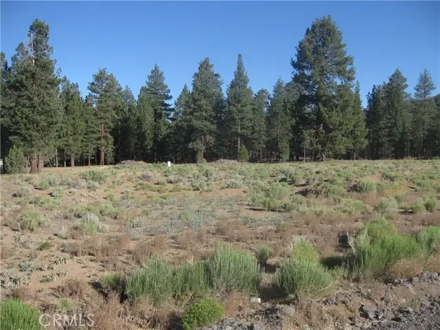 2824 Erwin Ranch Road, Big Bear City, CA 92314 - #3