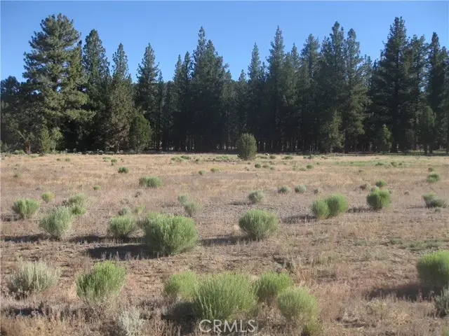 2818 Erwin Ranch Rd, Big Bear City, CA 92314 - #2