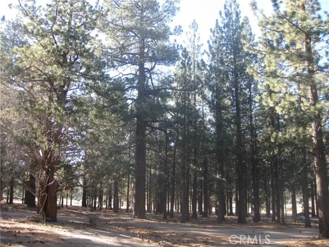 2818 Erwin Ranch Rd, Big Bear City, CA 92314 - #3