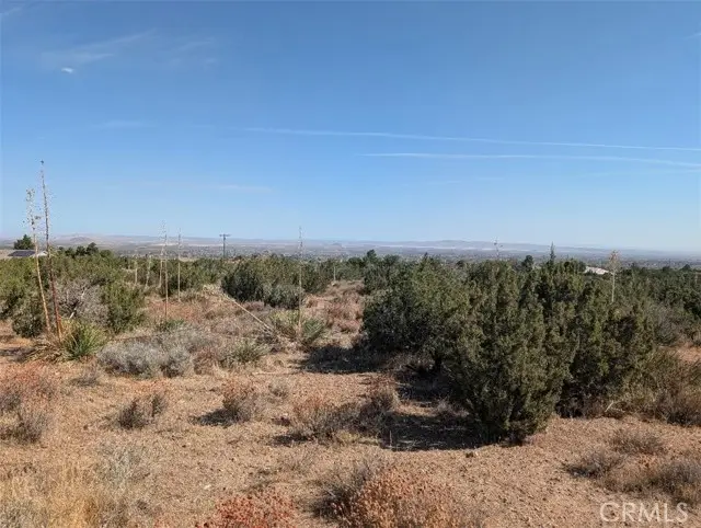 12 Tamarack, Pinon Hills, CA 92372 - #1