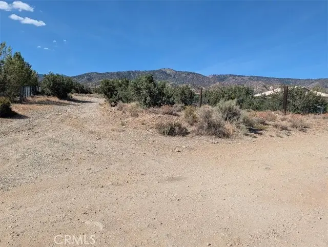 12 Tamarack, Pinon Hills, CA 92372 - #2